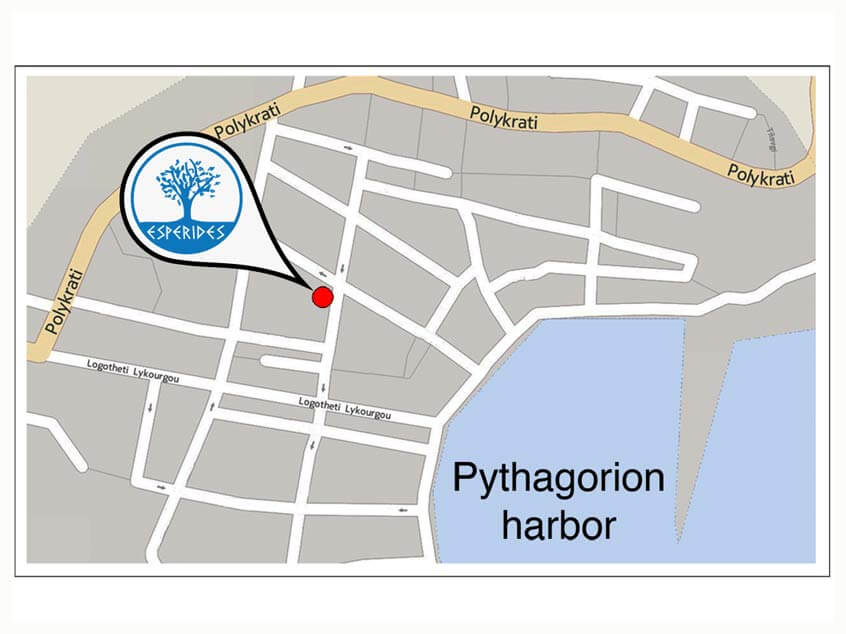 See our beautiful garden restaurant