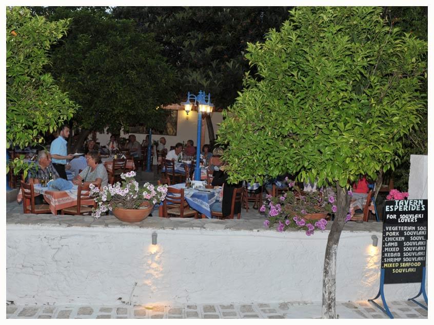 See our beautiful garden restaurant